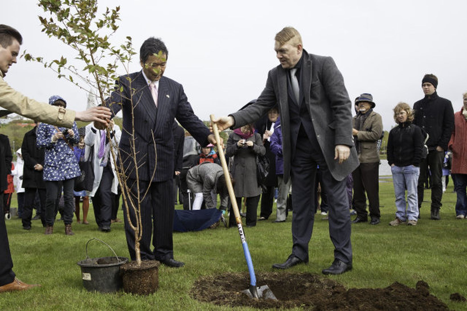 Jón Gnarr og Yoshihiko Wakita gróðursetja kirsuberjatré í dag.