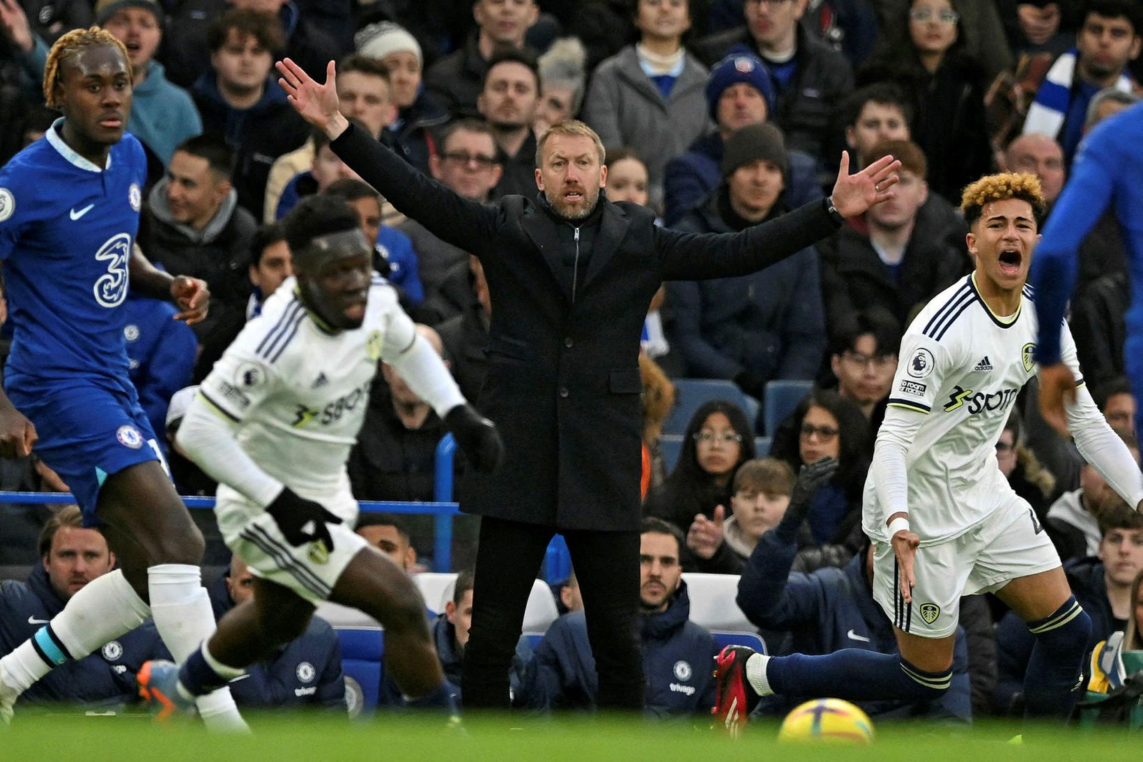 Graham Potter á hliðarlínunni gegn Leeds.