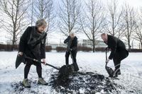 Stofnun Vigdísar Finnbogadóttur í erlendum tungumálum