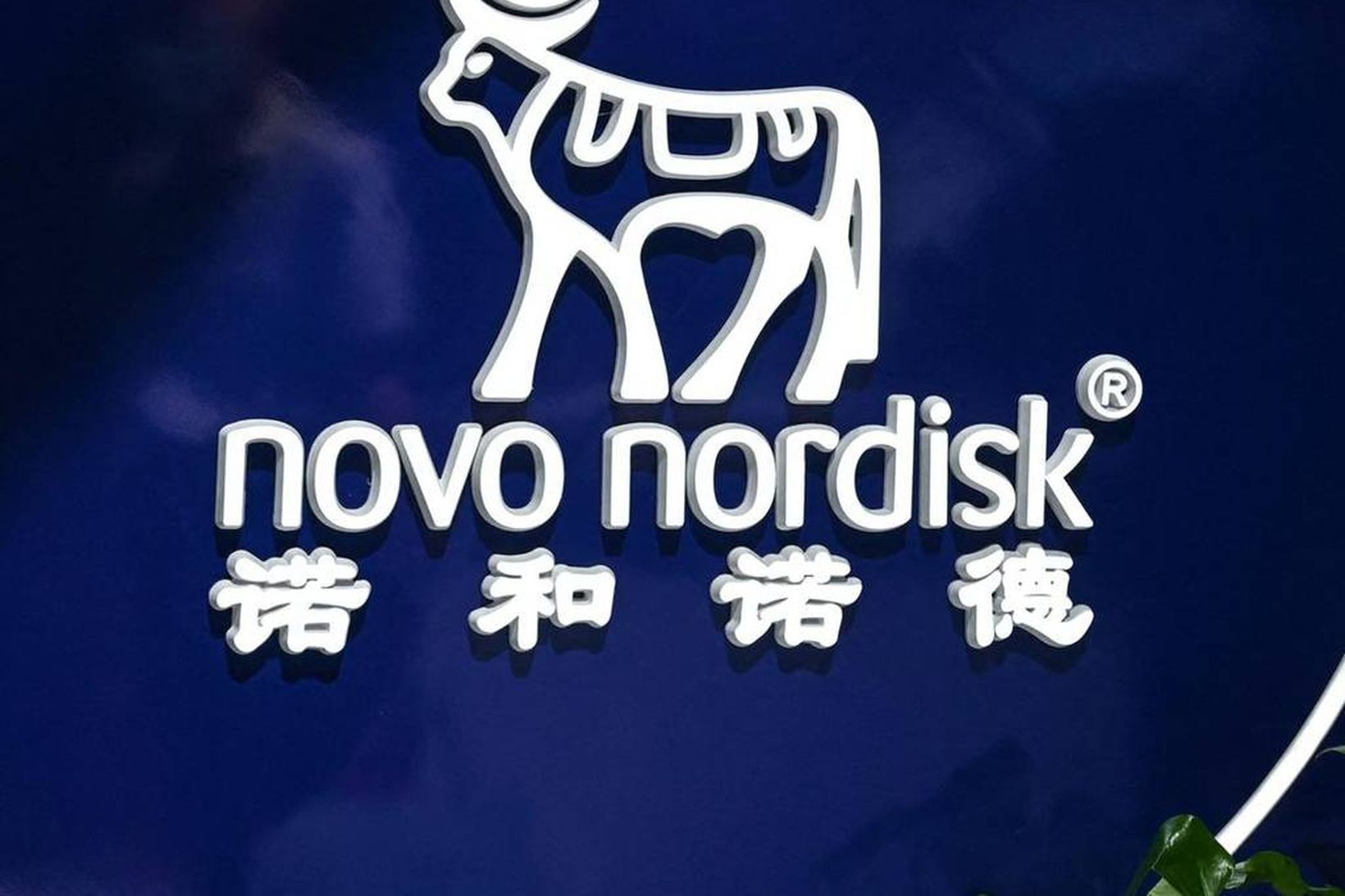 Breyttar áætlanir og nýr forstjóri hjá Novo Nordisk.