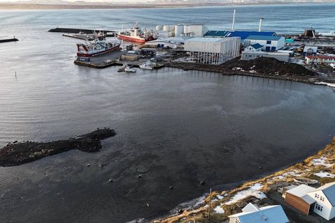 Nýi hólminn í höfninni, sem hannaður var eins og fiskur, séð úr lofti, varð til …