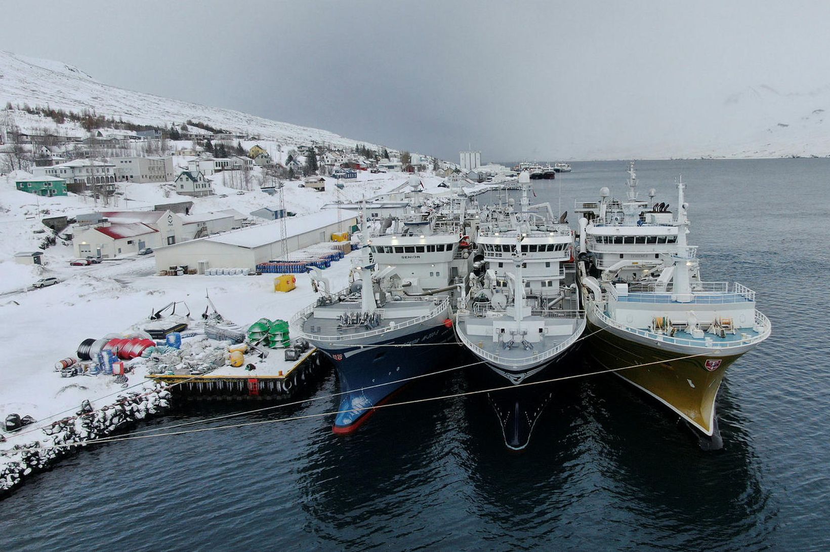 Kaupa norska loðnu á uppboði