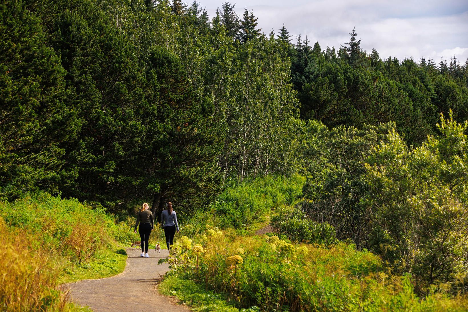 Nýr upplýsingavefur um útivist á höfuðborgarsvæðinu, Út um allt, er …