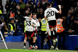 Harry Wilsonað fagna sigurmarki Fulham í dag.