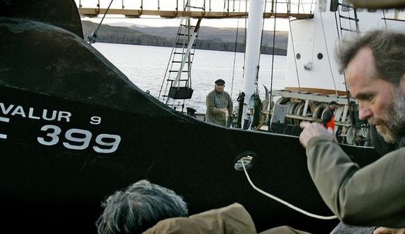 Á leið í land með fyrstu langreyðina