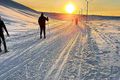 Skíðaganga Lífsgangan fer að miklu leyti fram í snjónum á þessum árstíma.