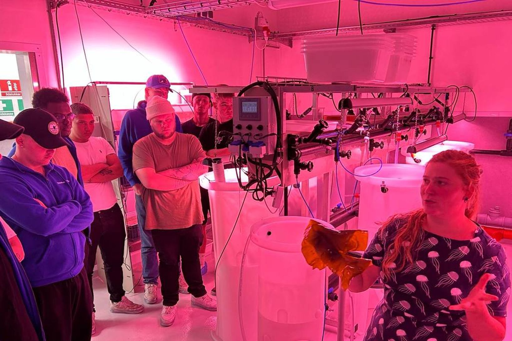 Stökkpallur í frekara nám og vel launuð störf