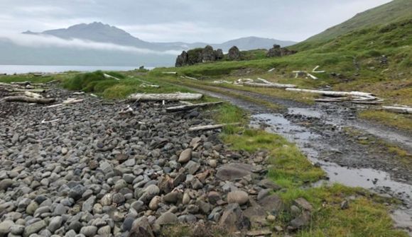 „Þetta er ljós í myrkrinu“