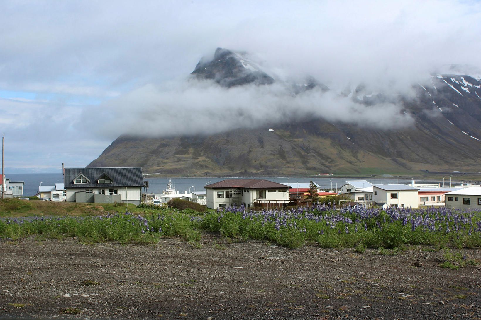 Bolvíkingar eru orðnir 1.000 talsins.