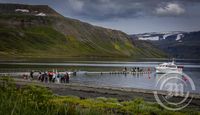 Hesteyri í Jökulfjörðum