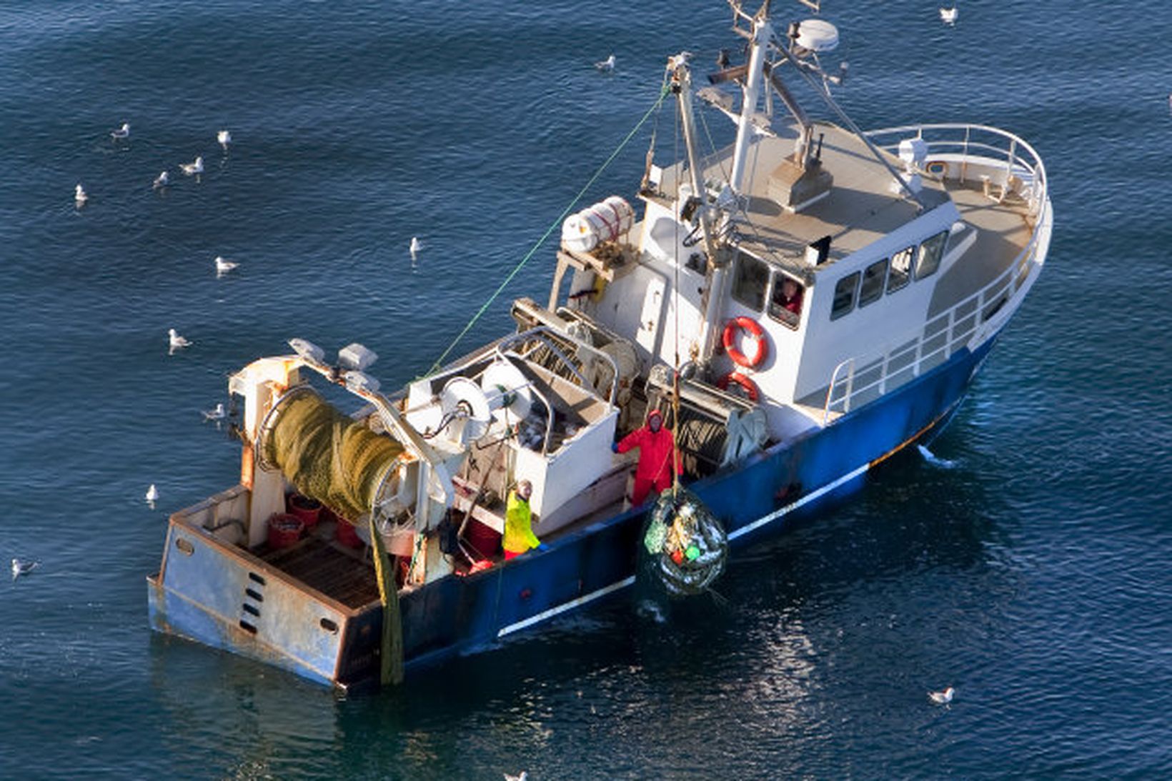 Fagur er fiskur úr sjó og sjaldan verðmætari.