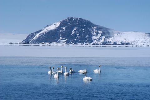 Beautiful lake Mývatn in winter.