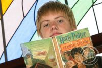 Elfar Andri og Harry Potter