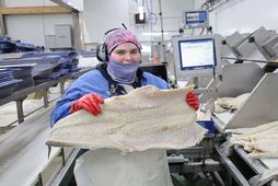Ásdís Björk Sigurðardóttir vigtar saltfiskinn. Glaðbeitt heldur hún hér á vænu flaki af flattri löngu.