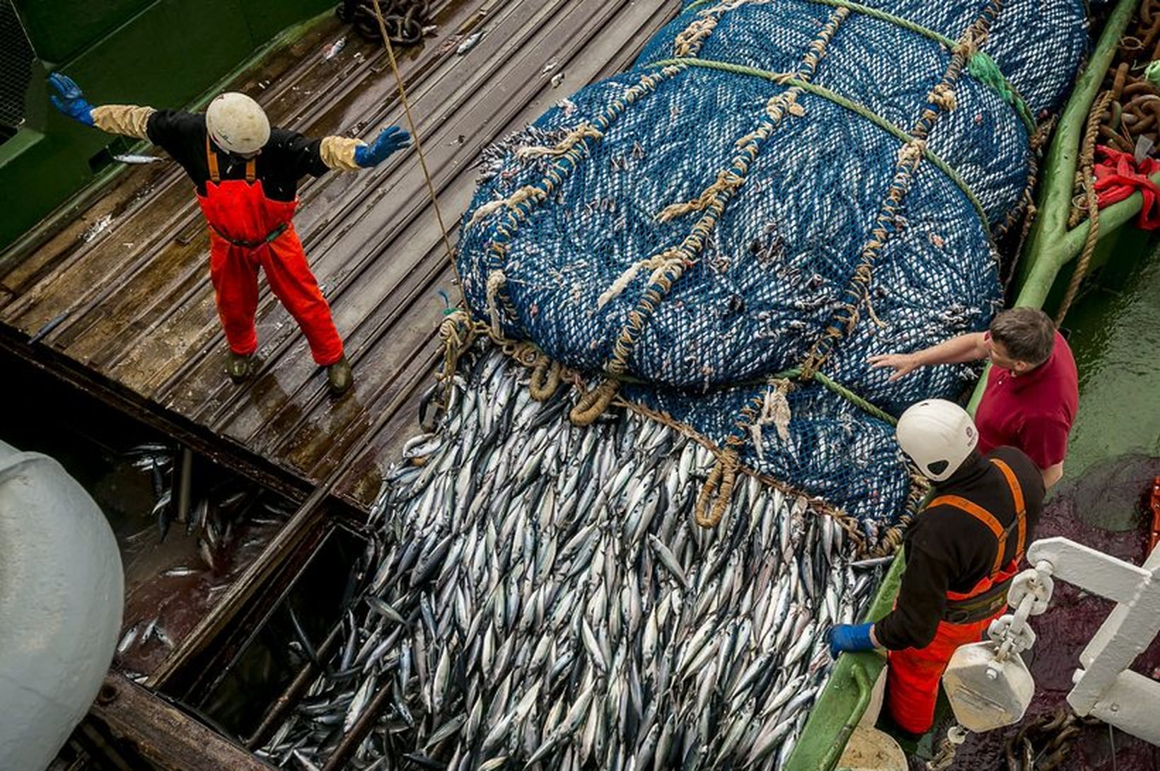 Veiðigjaldið skili 14,3 milljörðum