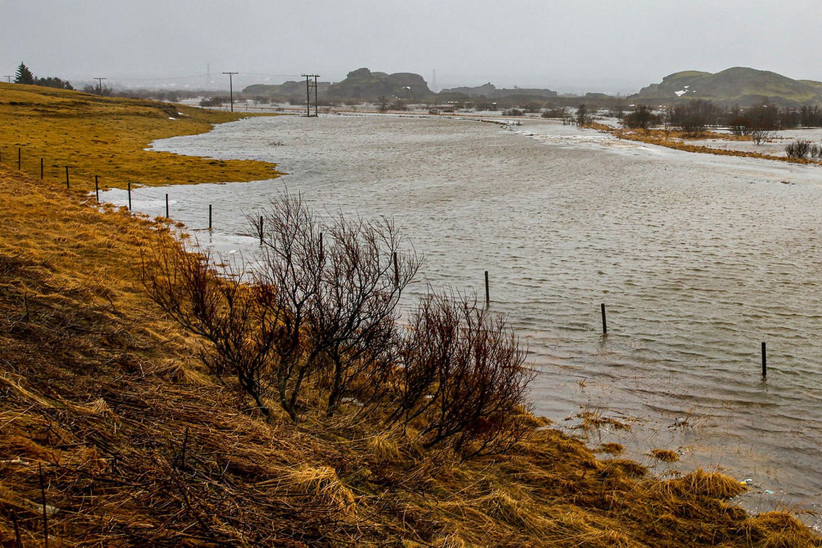 Vatnavextir við Rauhóla í gær.