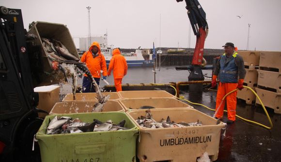 Flotinn skilaði 5% minni afla í október