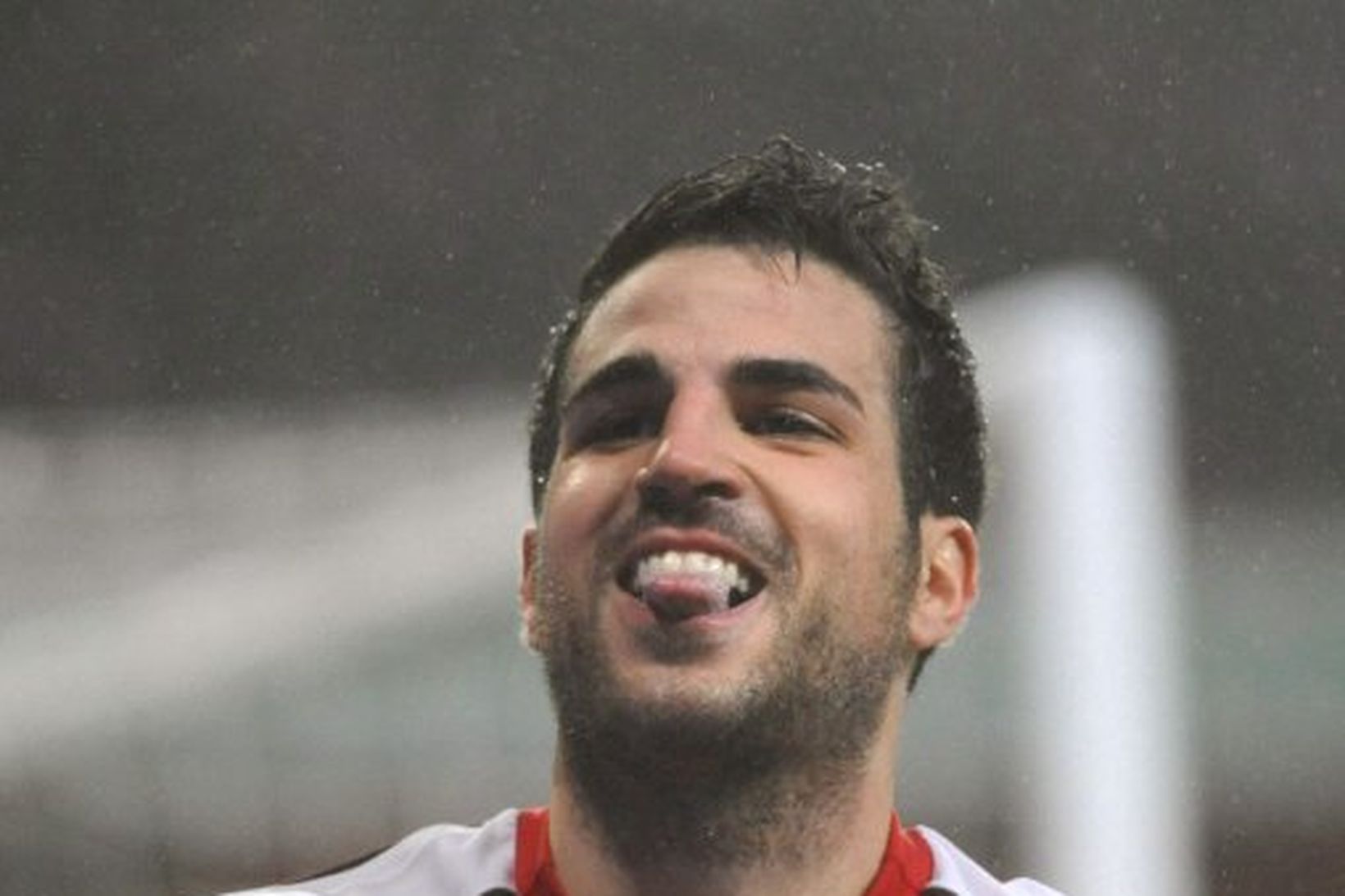 Cesc Fabregas.