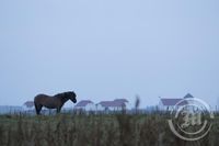 Gosmóða yfir höfuðborginni