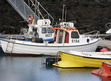Björn EA 111