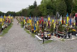 Úkraína