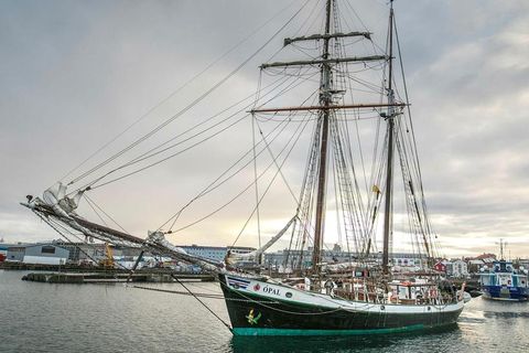 Travellers in Tromsø, North Norway can enjoy a whalewathing trip on this Icelandic scooner.