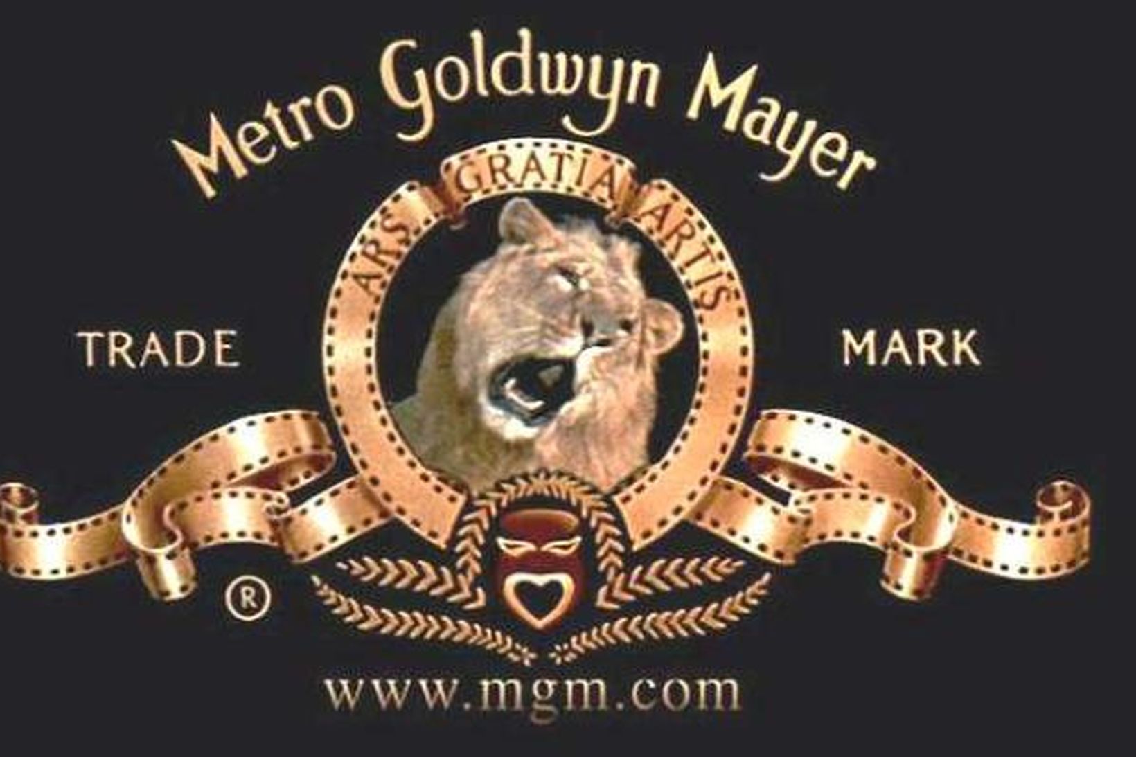 Metro-Goldwyn-Mayer