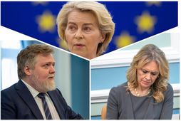Sigmundur Davíð Gunnlaugsson formaður miðflokksins segir það ámælisvert að íslenskir ráðamenn kjósi að halda tryggð …