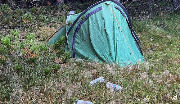 Vandi heimilislausra vex mikið