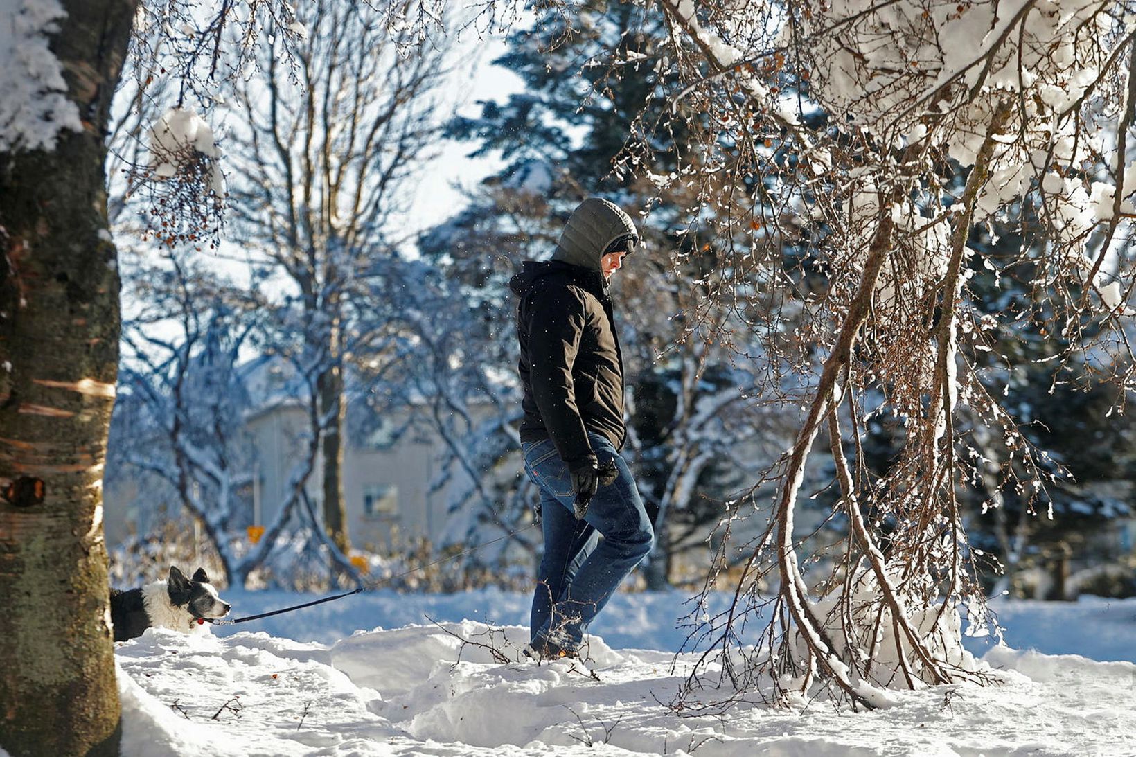 Allt að 15 stiga frost í dag