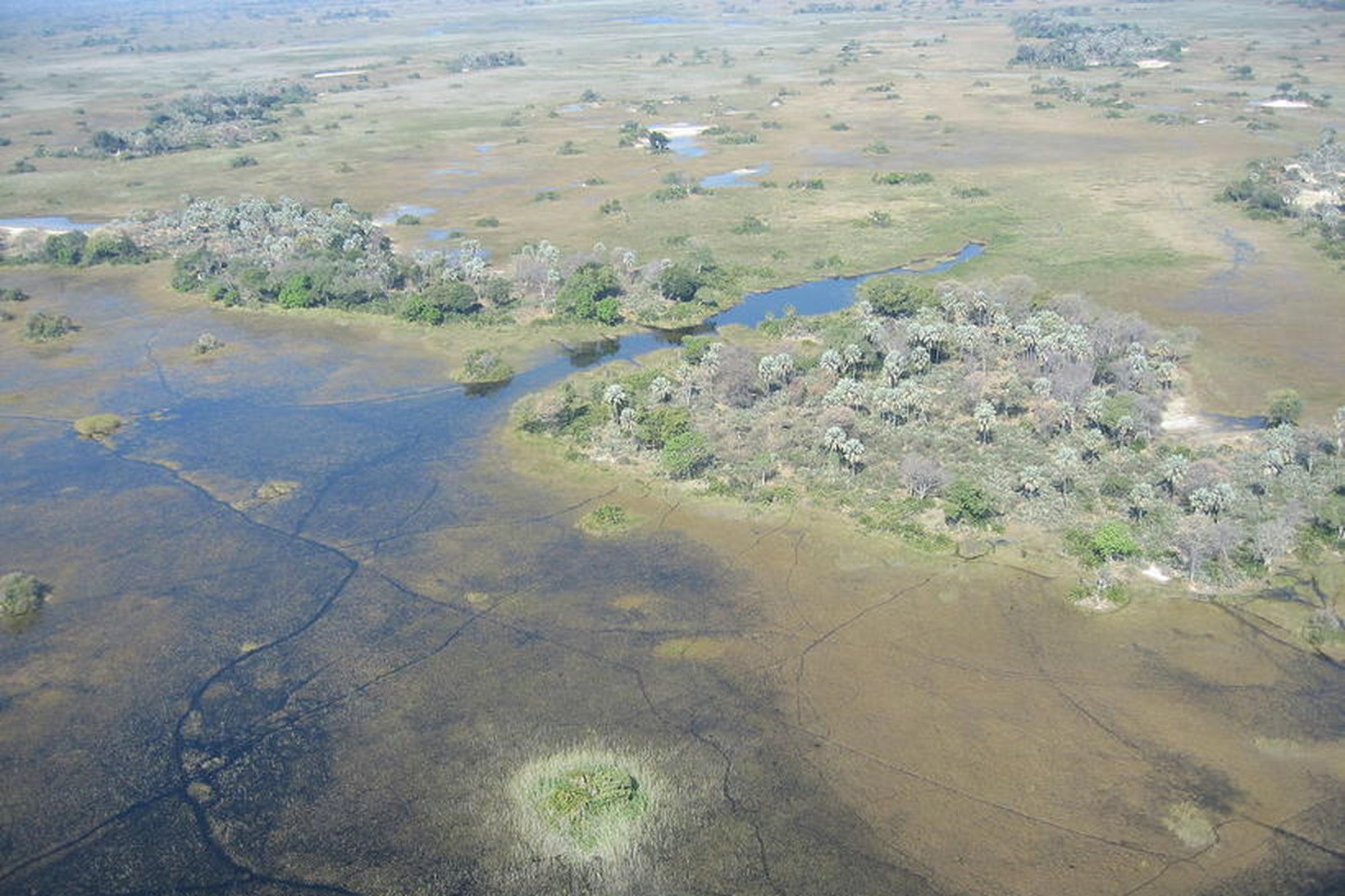 Okavango-delta í Botswana er nýjasta viðbótin á heimsminjaskrá UNESCO