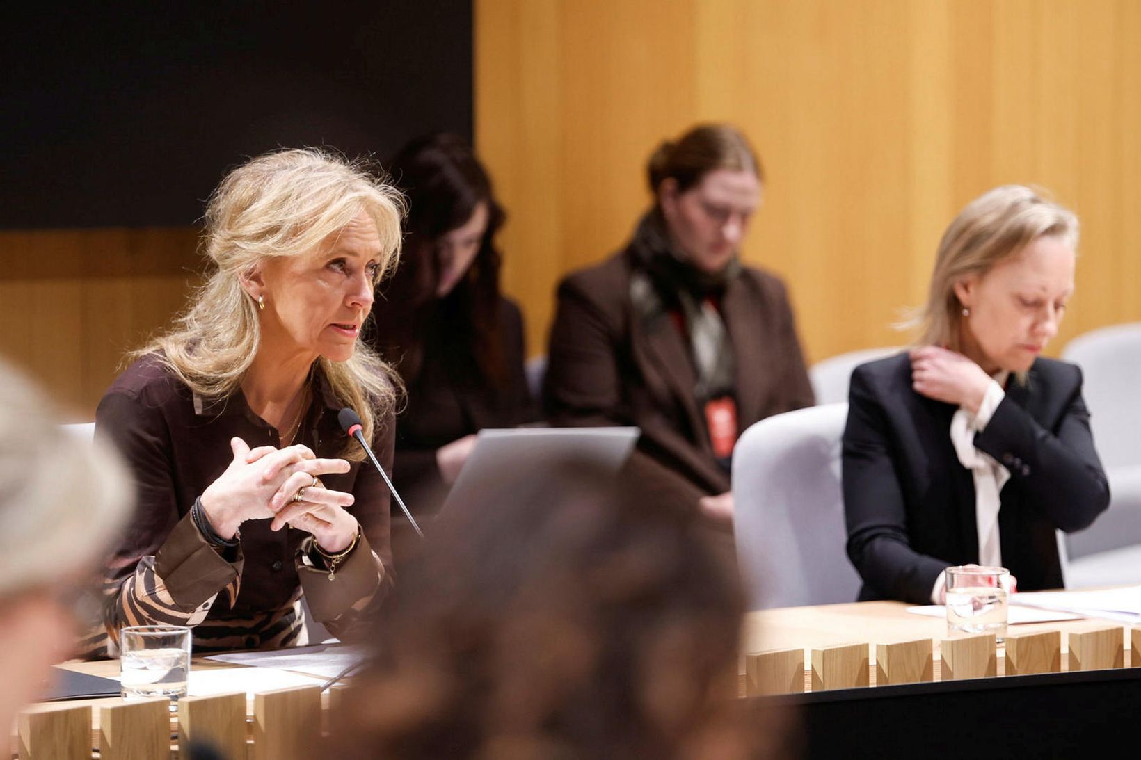 Ætla sér að tryggja yfirráð Íslands