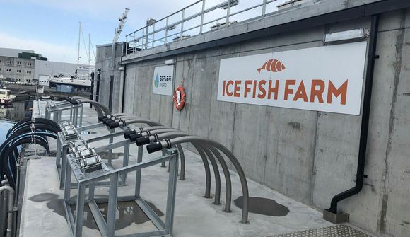Steinpramminn er eins og fljótandi klettur í hafinu