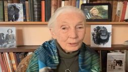Jane Goodall ávarpaði ráðstefnu í Hörpu