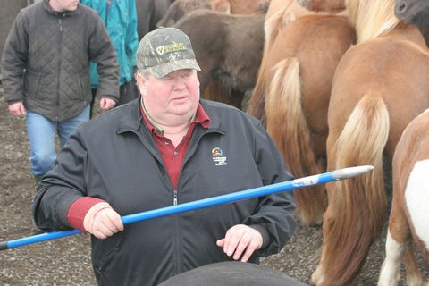 Farmer Haraldur Þór Jóhannsson, a.k.a. Halli í Enni, busy at the roundup.