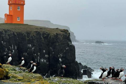 Um 130 jarðskjálftar hafa mælst í grennd við Grímsey síðastliðinn sólarhring.
