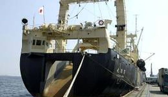 Búrhval og skorureyði landað í Japan