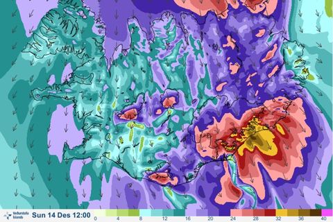 Wind tomorrow at noon. Red, pink and yellow colors represents very strong winds.