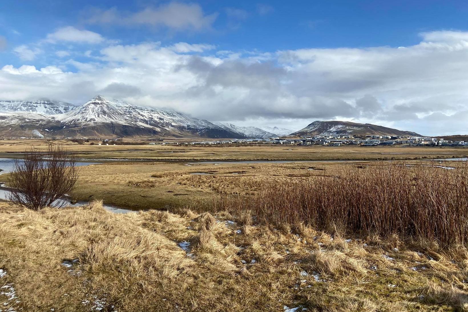 Varmárósar í Mosfellsbæ voru fyrst friðlýstir árið 1980 og friðlýsingin …