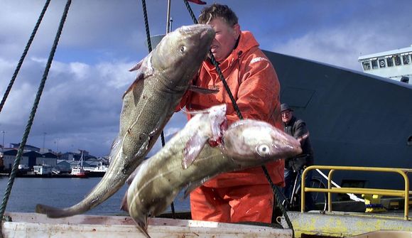 Engar varanlegar undanþágur