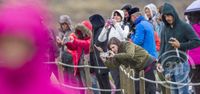 Erlendir ferðamenn við Gullfoss