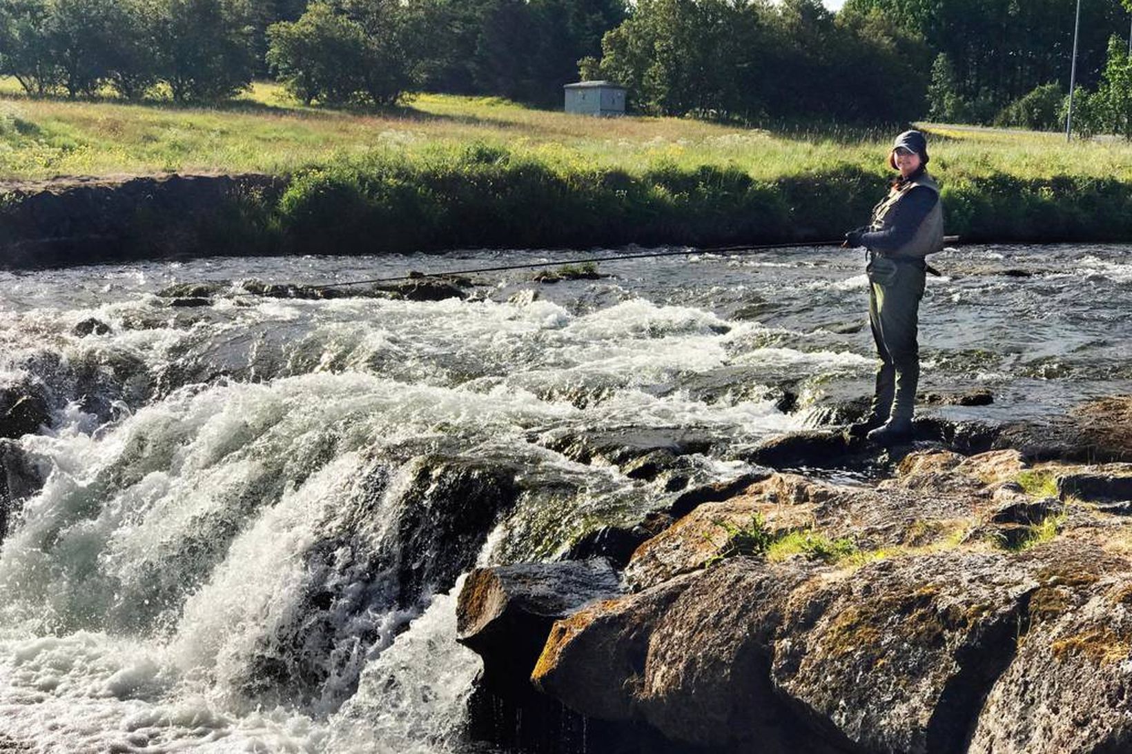 Veiðikona egnir fyrir laxinn í Sjávarfossi í Elliðaánum, þar sem …