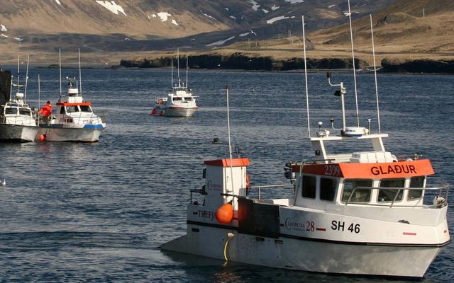 Strandveiðimenn eru eflaust glaðir að heyra að 1000 tonnum hafi verið bætt við veiðiheimildirnar.