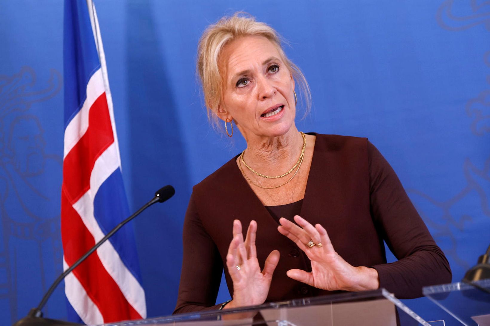 Þorgerður Katrín Gunnarsdóttir utanríkisráðherra.