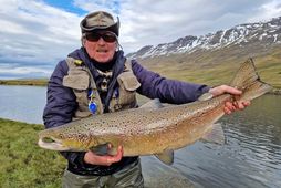 Sá stærsti til þessa í Vatnsdalsá. Lúðvík Lúðvíksson fékk hann í Hnausastreng og mældist þessi …