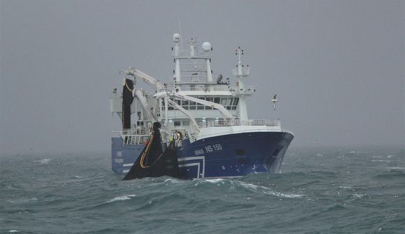 Loðnuveiðum ársins lýkur um helgina