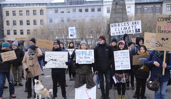 Mótmæltu hvalveiðum 