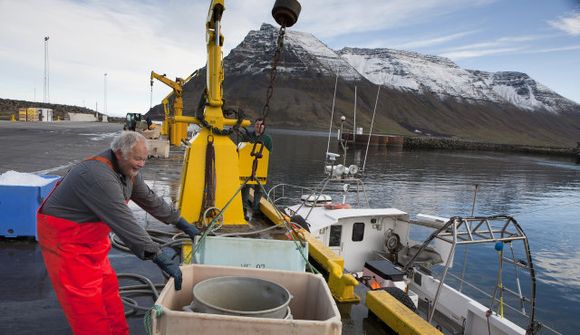 „Á kostnað hagkvæmni og arðsemi“