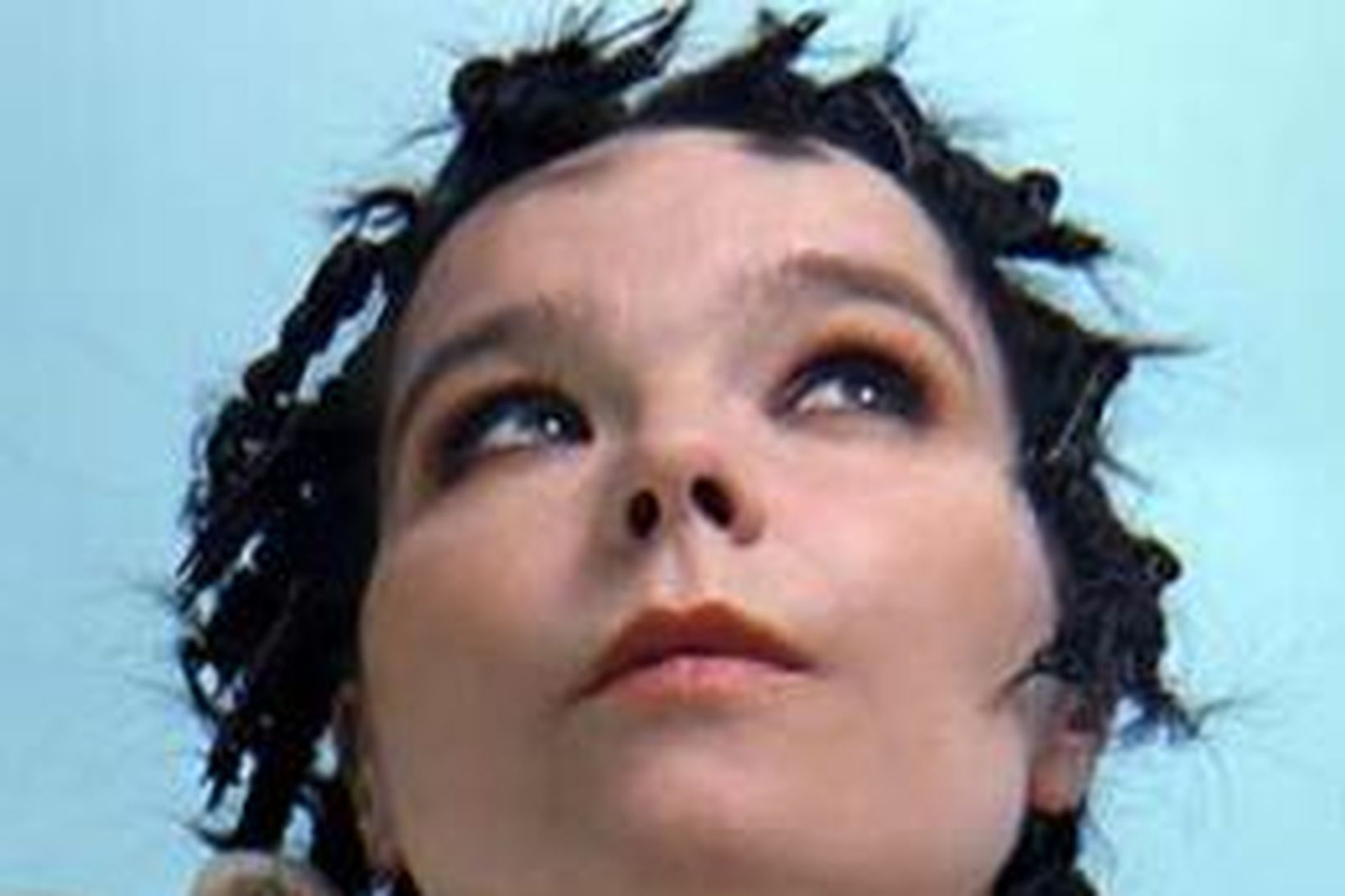 Björk Guðmundsóttir.