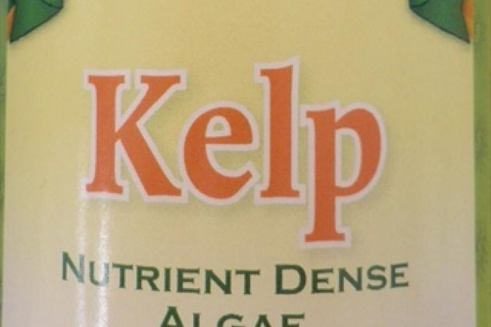 Sunny Green Kelp Nutrient Dense Alga